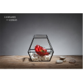 Shape Super Large Glass Terrarium Geometric